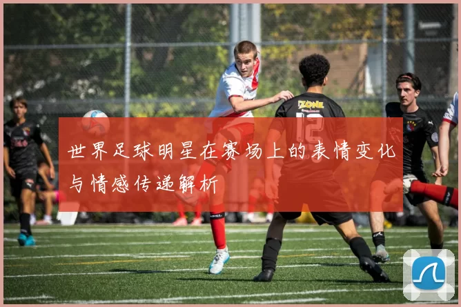 世界足球明星在赛场上的表情变化与情感传递解析