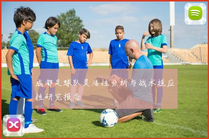 成都足球队灵活性分析与战术适应性研究报告