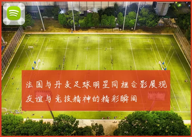 法国与丹麦足球明星同框合影展现友谊与竞技精神的精彩瞬间